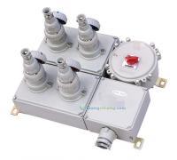 BDX51-IIB-D防爆動力配電箱 工業(yè)維修的可靠電力保障